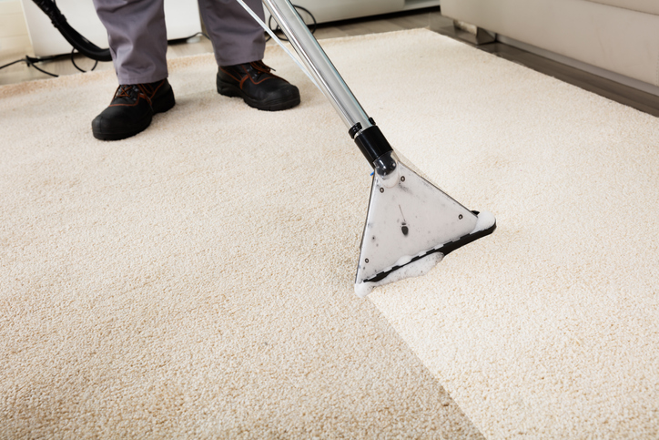 Carpet Cleaning